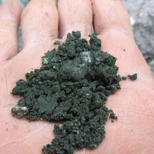 Chlorite "toute frache", trouve dans le Valais, Suisse