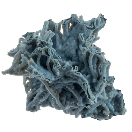 Calcédoine bleue "corail" brute