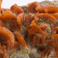 Heulandite orange cristaux bruts sur mordenite