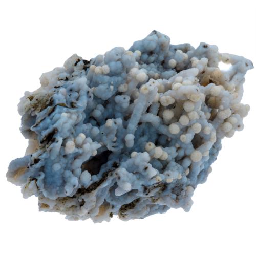 Calcédoine bleue "corail" brute avec mordénite