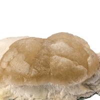 Stellerite cristaux bruts avec mordenite