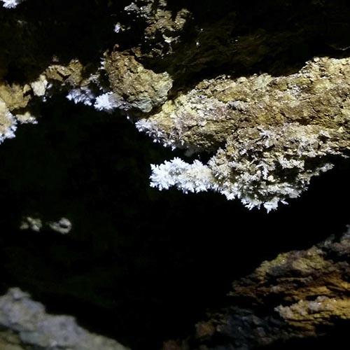 Cristallisation de gypse dans une mine en Haute-Loire